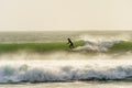 A surfer surfing at Betty`s Bay beach in the Western Cape, South Africa Royalty Free Stock Photo