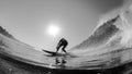 Surfer Surfing Bottom Turn Black White Royalty Free Stock Photo