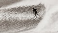 Surfer Surfing Cold Wave Sepia Royalty Free Stock Photo