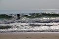 Surfer surfing wave on beach