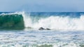 Surfer Surfing Wave Ride Falling Crashing Wipeout