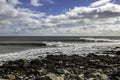 Surfer surfs a perfect wave on a sunny day Royalty Free Stock Photo