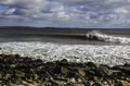 Surfer surfs a perfect wave on a sunny day Royalty Free Stock Photo