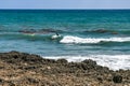 Surfer and Sea Weed Floating on the Waves Royalty Free Stock Photo