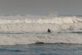 Surfer waiting for wave Royalty Free Stock Photo