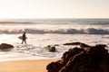 Surfer walking along the shore with his board Royalty Free Stock Photo