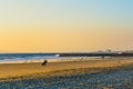 Surfer walking on the sand Royalty Free Stock Photo