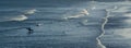 Surfer walking into sea