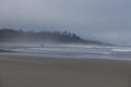 Surfer is walking with a White board along the Long Beach near Tofino Royalty Free Stock Photo