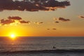 Surfer in the water at sunset waiting for the last wave Royalty Free Stock Photo