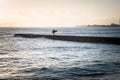 Surfer on wave breaker near Waikiki beach