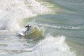 Surfer In Wave In Florida Royalty Free Stock Photo