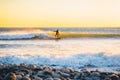 Surfer on wave at warm sunset. Surfing in ocean Royalty Free Stock Photo
