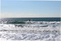 Surfer on the waves, Pacific Ocean, Santa Monica, Los Angeles , California, USA