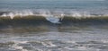 Surfer on Wembury Beach