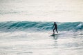 Surfer in wetsuit ride on blue wave. Winter surfing in ocean Royalty Free Stock Photo