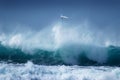 Surfer wipeout Royalty Free Stock Photo