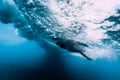 Surfer woman dive underwater. Surfgirl dive under wave