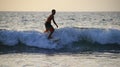 Surfers in action at dusk with a golden color and dark,