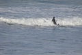 Surfers at Cape Kiwanda During the King Tide of February 2020