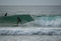 Surfers catching waves and having fun on Manly Beach. Australia. Royalty Free Stock Photo