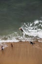 Surfers in Hawaii Royalty Free Stock Photo