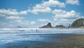 Surfers heading into the Pacific Ocean at Cox Bay Beach at the Pacific Rim National Park Royalty Free Stock Photo