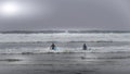 Surfers heading into the Waves in the Dense Fog to surf in Cox Bay at the Pacific Rim National Park