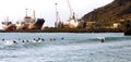 Surfers in the Mindelo bay Royalty Free Stock Photo