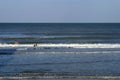 Surfers on New Smyrna Beach 605856