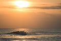 Surfers in the ocean