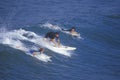 Surfers paddling into waves, Huntington Beach, CA