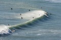 Surfers at Piha beach