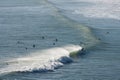 Surfers riding on wave at Piha beach