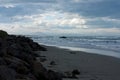 Surfers in the sea at Sumner Beach in Christchurch in New Zealand Royalty Free Stock Photo