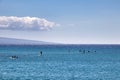 Distant view of surfers and stand up paddlers on shimmering blue ocean on Maui.