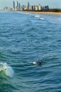 Surfers in Surfers Paradise Queensland Australia