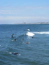 Surfers take on waves Royalty Free Stock Photo