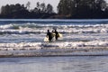 Surfers on Vancouver Island