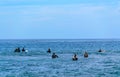 Surfers are waiting for waves