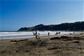 Surfers waiting to tame the waves Royalty Free Stock Photo