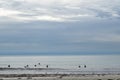 Surfers waiting for a wave