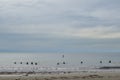 Surfers waiting for a wave