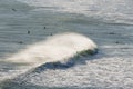 Surfers waiting for wave Royalty Free Stock Photo