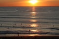 Surfers waiting for a wave near the beach at sunset