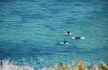 Surfers waiting for a wave off Dana Strand Beach in Dana Point, California. Royalty Free Stock Photo