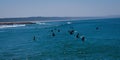 Surfers waiting for Wave and surfing