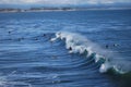 Surfers and Waves Royalty Free Stock Photo