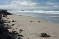 Surfers in wavy sea at Sumner Beach in Christchurch in New Zealand Royalty Free Stock Photo