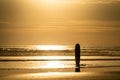 Surfing beach with dramatic orange sky. Royalty Free Stock Photo